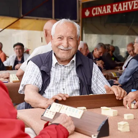 Domizil Lina Art Penzion