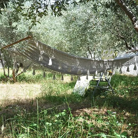 Domizil Lina Art Πανσιόν 3*