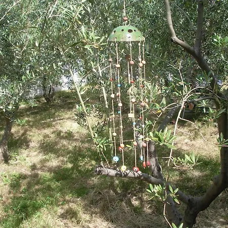 Guest house Domizil Lina Art 3*