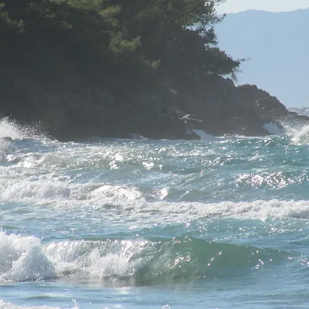 Πανσιόν Domizil Lina Art 3*