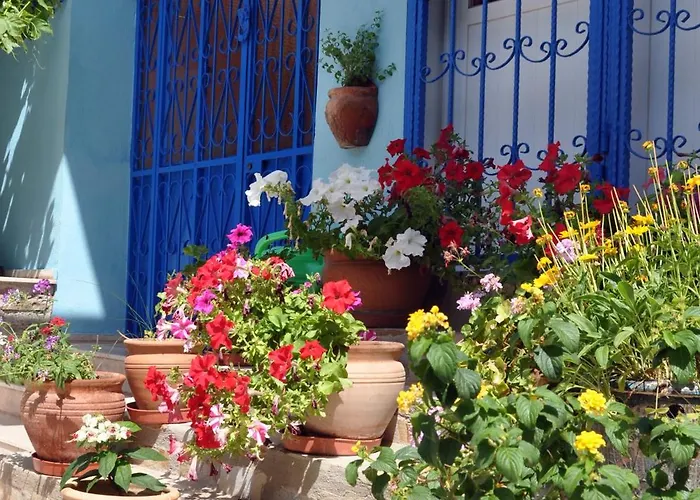 Domizil Lina Art Guzelcamlı