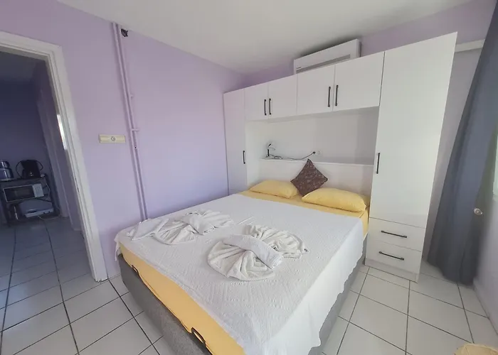 Domizil Lina Art 3* Guzelcamlı