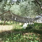 Domizil Lina Art Гостевой дом 3*