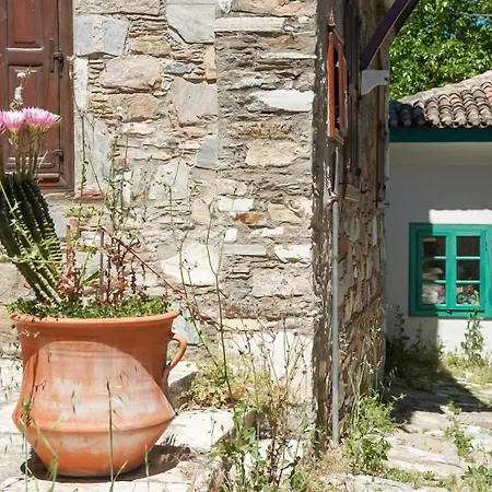 Domizil Lina Art 3* Guzelcamlı