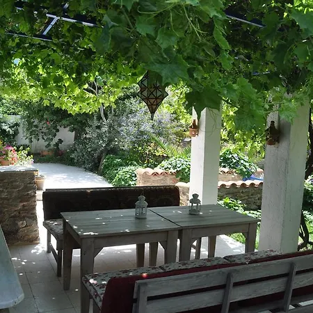 Domizil Lina Art 3* Güzelçamlı