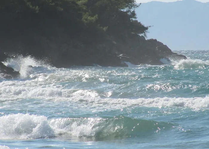 ゲストハウス Domizil Lina Art 3*